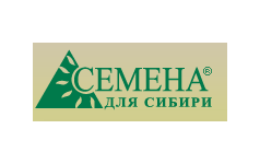 Семена сибири красноярск официальный сайт ведущая про плантацию конопли