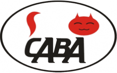Комон сава на французском. ООО ТПК Сава. Сава Томск продукция. Город Томск компания Сава. Сава Томск лого.