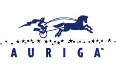 Auriga