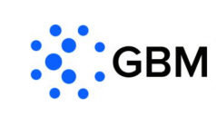 gbmsecurities.info