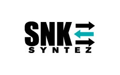 SNK - Syntez, Компания